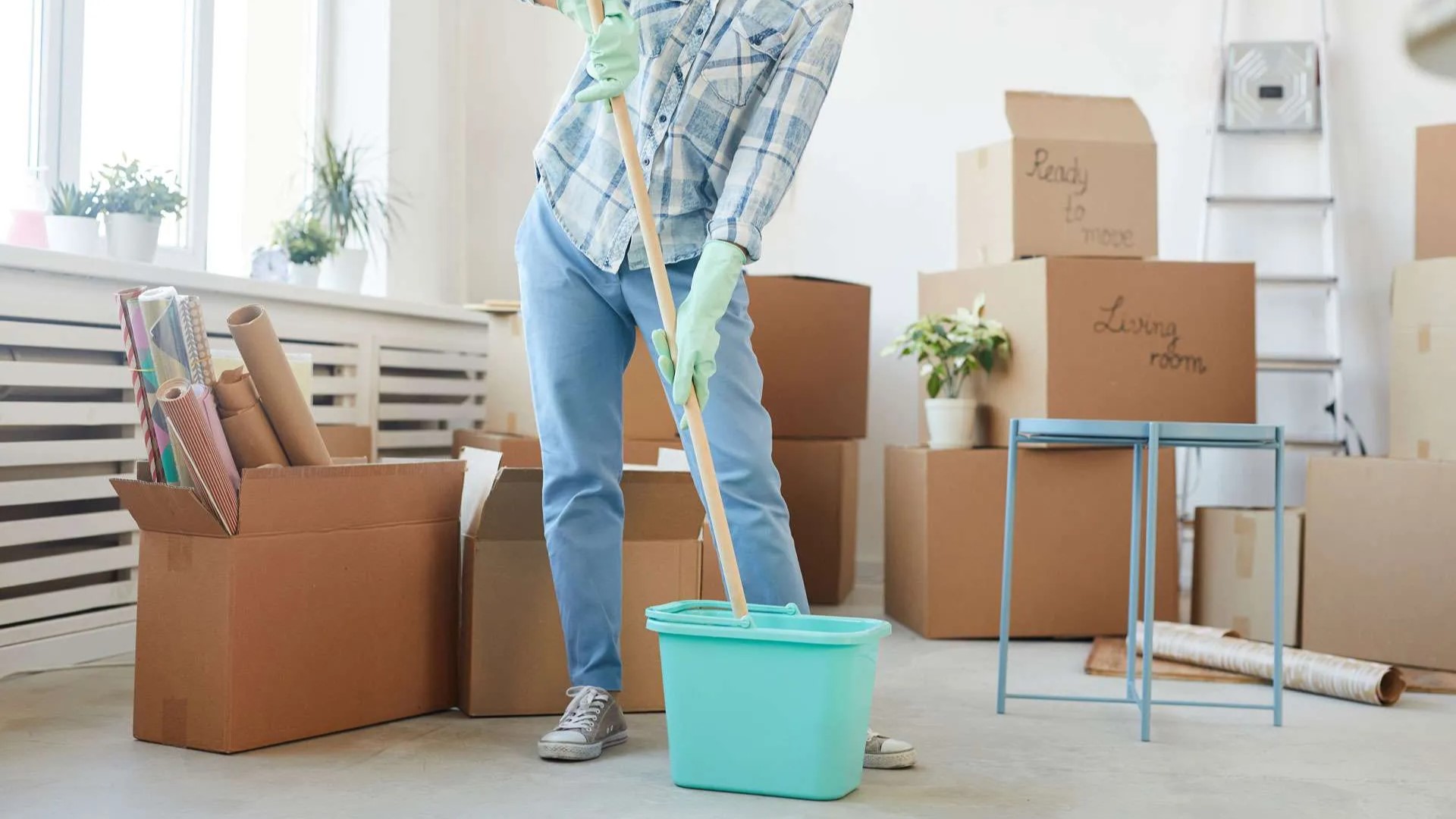 Carpet Cleaning